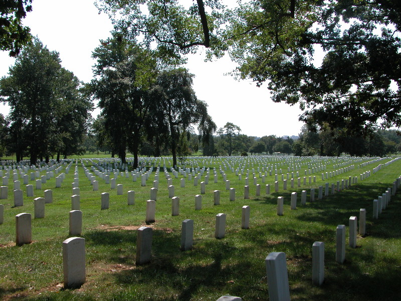 arlington_ (2)sm.jpg
